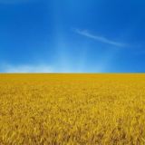 Моя Україна Чат