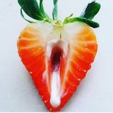 Оргазмания