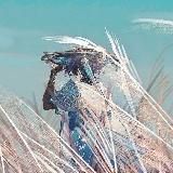 ˖ ࣪ sᴛᴇʀɴ ✶ sʜɪꜰᴛɪɴɢ !! ࣳ