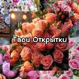 Твои Открытки