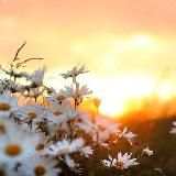 Верую ☦️ Православие