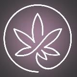 Hempstore of Hempico