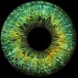 Офтальмолог в кармане