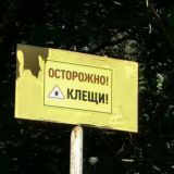 Обсуждения материалов Зелёного портала