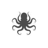 ️OCTOPUS | Chat