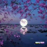 ✨ 𝕁𝕒𝕤𝕞𝕚𝕟𝕖 𝕊𝕞𝕠𝕜𝕖 💚🌱