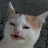 Уебанский гороскоп