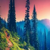 Базар Карасув чат/Uyda qoling