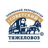 Работа в сфере лошадей Советский Тяжеловоз