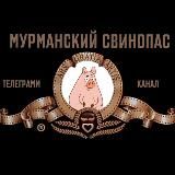 Мурманский свинопас