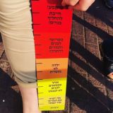 שיקסע בתפקיד