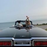 ʙᴀsᴛʏǫ_ᴍᴜᴢ