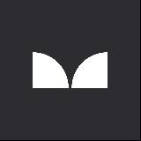 Разведчик смысла