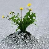 Мотивация в стихах. От сердца к сердцу ❤️