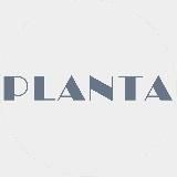 PLANTA
