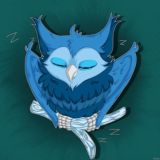 Спящая Сова | Животные