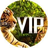 Волк с Уолл Стрит