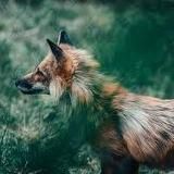 Контакты, Новости, Инфа.