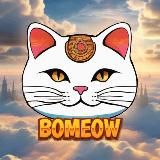 Book of Meow ($BOMEOW) SOL