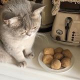 питаюсь со скидкой by @faygo