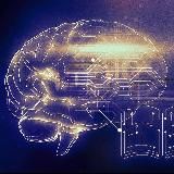 The Brain Food Channel