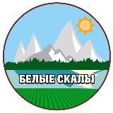 Клубника 🍓🍓🍓, малина, смородина, голубика