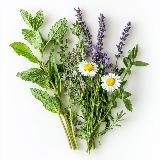 Здоровье 360°