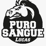 LucasPeracchi 🖤Purosanguelucas