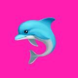 взаимки для 🐬