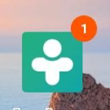 СЛИВЫ ДРУГ ВОКРУГ