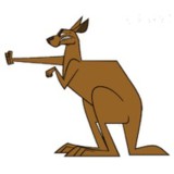 Кенгуру vs Эму