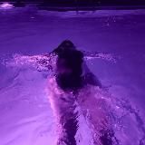 Будка Гакса