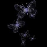 𝓜𝓸𝓸𝓷||قمر