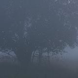 Наступает мутная муть 🍇