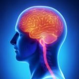 КЕТЧУП +18 ( TRIPE)