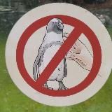 Говна Пирога