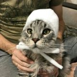 DJUNTA & ZEUS SVERDLOB