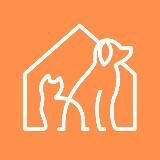 Животные города_В