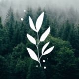 Ресторан уральской кухни «Зверобой»