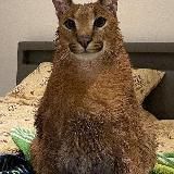 ✨Хентайный склад