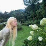 #чатик likatips