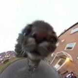 ясно, вумэн момент