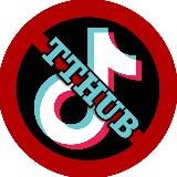 TTHUB 18+