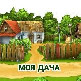 Заметки дачника | Урожай 2025