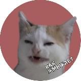 Как жмыхает