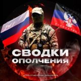 Сводки ополчения