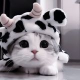 общение