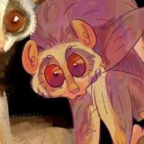 СДОХ/Нора Кесьхи🎉