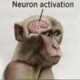 🤬 Криминальное 🔞