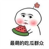 吃瓜大队🍉